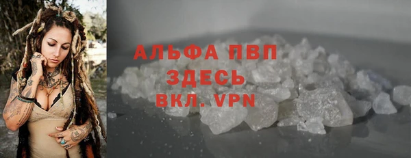 стаф Алексин