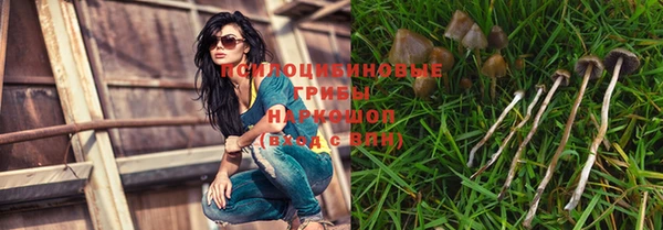индика Абинск