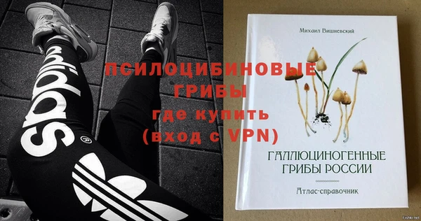 индика Абинск